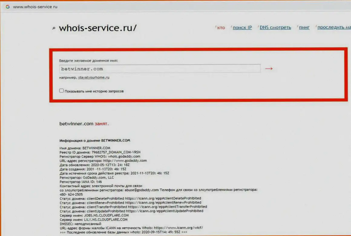 Who s. Сервис WHOIS. Войс сервис. WHOIS сервис Интерфейс. Nominex мошенники.